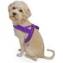 balbali Dog Harness Easy On and Off with 1 Clip for Walk with Dogs,Vest Harness with Padded Adjustable Neoprene for Pug Life balbali Dog Harness Easy On and Off with 1 Clip for Walk with Dogs,Vest Harness with Padded Adjustable Neoprene for Pug Life