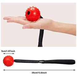 Skylety 4 Pieces Dog Ball on a Rope Interactive Dog Training Ball Dog Toy Ball on a Rope Reward and Exercise Toy for Small Medium Large Dog Fetching, Catching, Throwing and Tugging