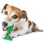 Pets First Rubber Toothbrush Toy for Dog Dental Care