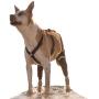 Walkabout Double Knee Brace and Chest Harness (Medium Brace L Chest Harness)