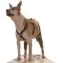 Walkabout Double Knee Brace and Chest Harness (Medium Brace L Chest Harness)