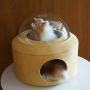 lianth Cat House Space Capsule Skylight Design Removable and Breathable Cat Nest