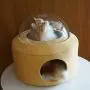 lianth Cat House Space Capsule Skylight Design Removable and Breathable Cat Nest