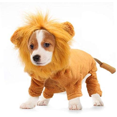 RYPET Dog Lion Costume Pet Clothes for Halloween Party Simulation Lion Pets Outfits Cosplay Dress up Costume Pet Lion Hoodie Cat Costume for Party