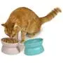 Kitty City Raised Cat Food Bowl Collection, Stress Free Pet Feeder and Waterer Kitty City Raised Cat Food Bowl Collection, Stress Free Pet Feeder and Waterer