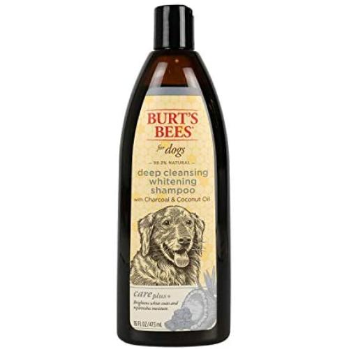 Burts Bees Care Plus+ Charcoal & Coconut Oil Whitening Shampoo for Dogs | Cleanses & Whitens Pets Coat | 16 oz