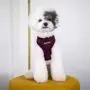 PUPPIA GASPAR HARNESS A PUPPIA GASPAR HARNESS A
