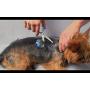 Scaredy Cut Silent Pet Grooming Kit for Dog, Cat and All Pet Grooming - A Quiet Alternative to Electric Clippers for Sensitive Pets (17pc RH + Scissor Sharpener, Blue)