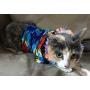 Rubies Costume Luau Pet Costume