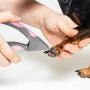 TMOLL BELLE Dog Nails Clippers and File, Professional Pet Grooming Tool, Razor Sharp Blades, Safety Guard to Avoid Overcutting, Design for Small Medium Large Dogs Cats