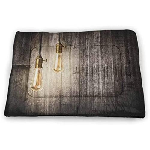 DayDayFun Industrial Pet Mat for Crate Aged and Closed Door with a Lock Close Up View in Retro Style Entrance Photo Comfortable Soft Pet Cushion Green Brown