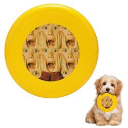 Pet Frisbee Flying Disc Dog Toy - Multifunction Currently All Alone