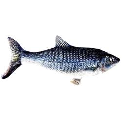 Owlhouse Electric Cat Toy, Wagging Fish Catnip Kicker Toys, Funny Interactive Pets Pillow, Motion Kitten Toy, Plush Interactive Cat Toys, Fun Toy for Cat Exercise