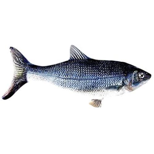 Owlhouse Electric Cat Toy, Wagging Fish Catnip Kicker Toys, Funny Interactive Pets Pillow, Motion Kitten Toy, Plush Interactive Cat Toys, Fun Toy for Cat Exercise