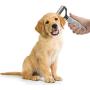 SOIXANTE Pet Grooming Tool Dematting Comb for Dogs& Cats Dematting Comb for Dogs Undercoat Comb Dog Grooming Brush Effectively Reduce Shedding by up to 95% for Dogs and Cats and All Hair Types