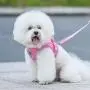 Dog Harness and Leash Set for Walking, Escape Proof Vest Harness with Soft Mesh, Adjustable Velcro, Reflective Strips for Kitten Cats and Puppy Dogs Dog Harness and Leash Set for Walking, Escape Proof Vest Harness with Soft Mesh, Adjustable Velcro, Reflective Strips for Kitten Cats and Puppy Dogs