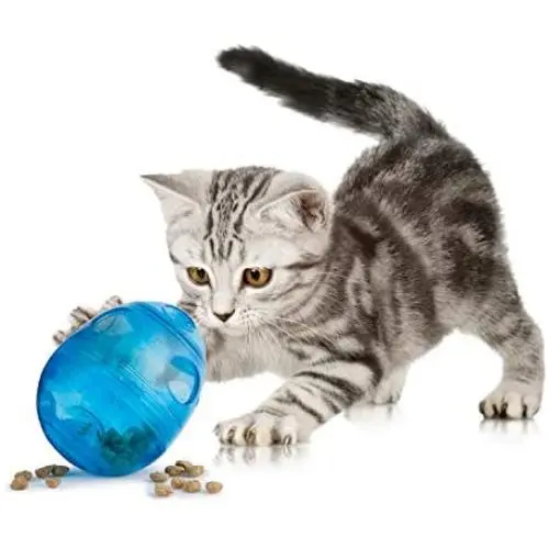PetSafe FUNKitty Egg Cersizer Interactive Toy and Food Dispenser PetSafe FUNKitty Egg Cersizer Interactive Toy and Food Dispenser