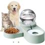 SAVFOX 2 in1 Automatic Water Dispenser Pet Bowls Set, Durable & Detachable Stainless Steel Feeder Bowl, No-Spill Dog Water Bottle & Dish for Cats & Dogs