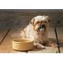 Mason Cash Cane Lettered Dog Bowl
