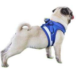 Alfie Pet - Mira 2-Piece Set Reflective Breathable Soft Air Mesh Puppy Dog Vest Harness