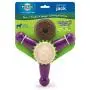 PetSafe Busy Buddy Jack Dog Toy, Chew Toy with Treats