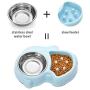 Ordermore Slow Feeder Bowl for Small Dogs & Cats