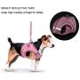 Anbeer Dog Harness and 5ft Leash, Adjustable Soft Padded Pet Vest with Reflective Band for Small and Medium Dogs