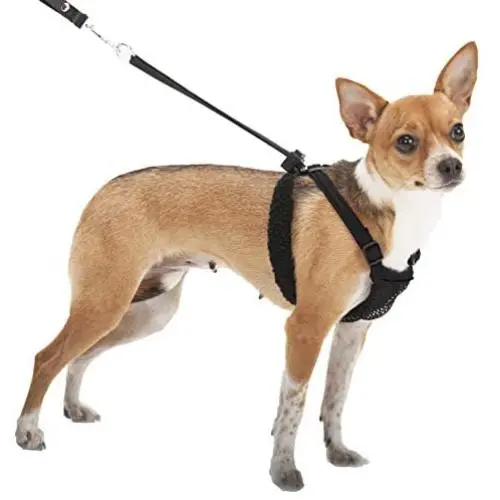SPORN No-Pull Dog Harness, Mesh, Black, Extra Small