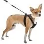 SPORN No-Pull Dog Harness, Mesh, Black, Extra Small