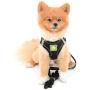 SMALLLEE_LUCKY_STORE Soft Mesh Step-in Small Dog/Cat Harness and Leash Set for Walking Escape Proof Reflective Puppy Vest Harness