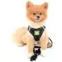SMALLLEE_LUCKY_STORE Soft Mesh Step-in Small Dog/Cat Harness and Leash Set for Walking Escape Proof Reflective Puppy Vest Harness SMALLLEE_LUCKY_STORE Soft Mesh Step-in Small Dog/Cat Harness and Leash Set for Walking Escape Proof Reflective Puppy Vest Harness