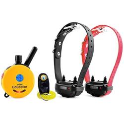 Bundle of 2 Items - E-Collar - ET-302 - Half a Mile Remote Waterproof Two Dog Trainer Mini Educator - Static, Vibration and Sound Stimulation Collar With PetsTEK Dog Training Clicker Training Kit