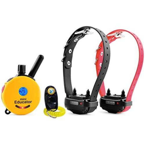 Bundle of 2 Items - E-Collar - ET-302 - Half a Mile Remote Waterproof Two Dog Trainer Mini Educator - Static, Vibration and Sound Stimulation Collar With PetsTEK Dog Training Clicker Training Kit