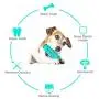 N/ Toothbrush Doggy Brushing Stick Bite-Resistant Molar Stick Dog Oral Care Toothbrush Puppy Chew Safe Soft Bite Resistant Toys Interactive Bite Bone for Small Medium Large Dogs