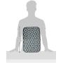 Bone Dry Machine Washable, Ultra Absorbent Pet Mat