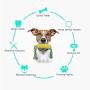 YF-TOW Dog Chew Toys Corn Molar Dog Toys Puppy Toothbrush Toys，Teething Cleaning Dental Toys with Rope, Bite Resistance for Dog Teeth Cleaning