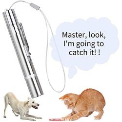 Pet Toys, Make Your Cat Or Dog Play Happily with You, Charging Type