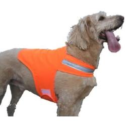 Dog Not Gone No Fly Zone Safety Vest for Dogs, Large, Orange (NFZ Safety LG Org)