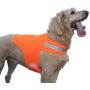 Dog Not Gone No Fly Zone Safety Vest for Dogs, Small, Orange