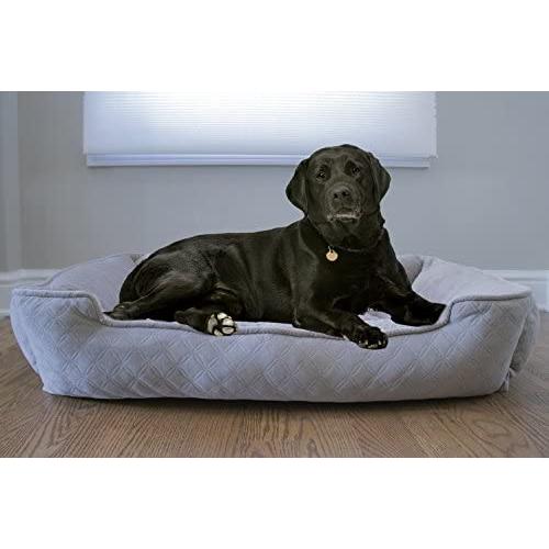Arlee Lounger and Cuddler Pet Bed