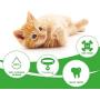 Cat Toothbrush Catnip Toy,Interactive Rubber Dental Care for Pet Kitten Kitty,Crayfish-Shaped Safe Chewing Toy Tooth Cleaning Durable Cat Toy