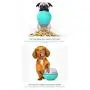 colapets Slow Feeder Dog Bowl Slow Feeder Stop Bloat for Dogs