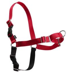 Premier Small/Medium Red Easy Walk Harness