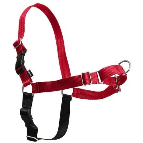 Premier Small/Medium Red Easy Walk Harness