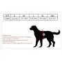 JSM Dog Harness Reflective Adjustable No Pull Dog Working Training Vest Harness Well-Matched Most Leash for Small Medium Large Dog JSM Dog Harness Reflective Adjustable No Pull Dog Working Training Vest Harness Well-Matched Most Leash for Small Medium Large Dog