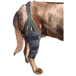 Labra Dog Canine K9 Knee Brace with Required Chest Halter Harness