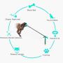 Filtries Dog Stake Tie Out Cable, Outdoor Pet Anchor Rope Leash Toy, Sturdy Training Tether for Backyard Small Medium Large Dogs