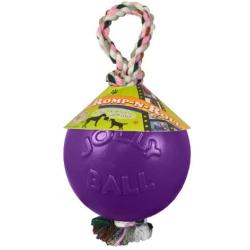 Jolly Pets Romp and Roll Ball Dog Toy Size: 4.5 inch, Color: Purple