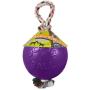 Jolly Pets Romp and Roll Ball Dog Toy Size: 4.5 inch, Color: Purple