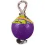 Jolly Pets Romp and Roll Ball Dog Toy Size: 4.5 inch, Color: Purple Jolly Pets Romp and Roll Ball Dog Toy Size: 4.5 inch, Color: Purple